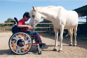 Terapia asistida con caballos