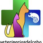 Logo veterinarios del cabo