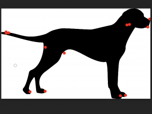 Zonas frecuentes típicas de vasculitis dermatitis pinnal en perros