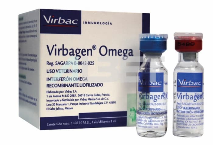 Virbagen omega vial